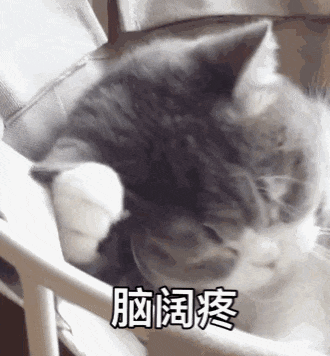 1.gif